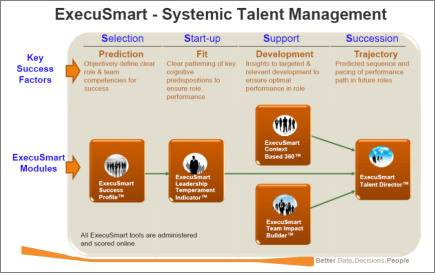 Systemic Talent Management